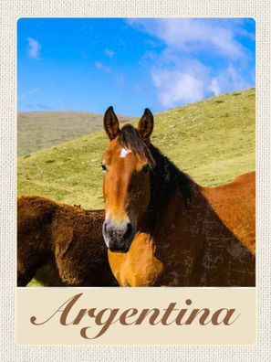 Blechschild 30x40 cm - Argentinien Wiese Pferde