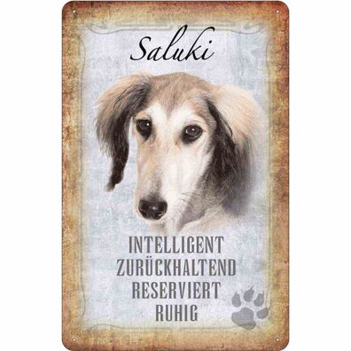 Blechschild 20x30 cm - Saluki Hund ruhig Geschenk Metal