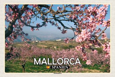 Blechschild 20x30 cm - Mallorca Spanien Mandelblüten