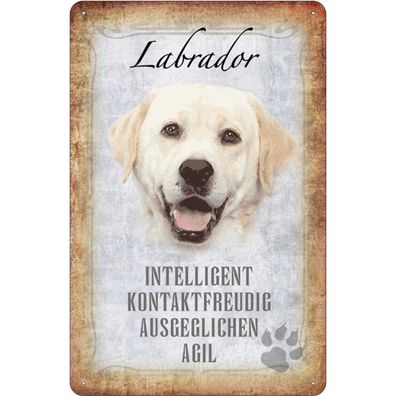 vianmo Blechschild 20x30 cm gewölbt Tier Labrador Hund Geschenk Metal