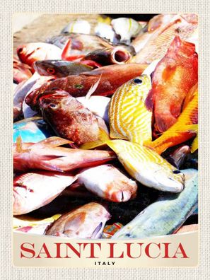 Holzschild 30x40 cm - Saint Lucia Italien Europa Fische
