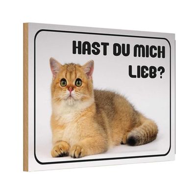Holzschild 20x30 cm - Katze Hast Du Mich Lieb?