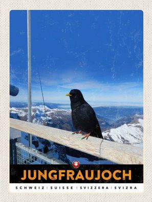 Blechschild 30x40 cm - Jungfraujoch Schweiz Rabe Winter Natur