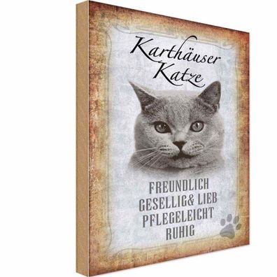 Holzschild 18x12 cm - Karthäuser Katze lieb Geschenk