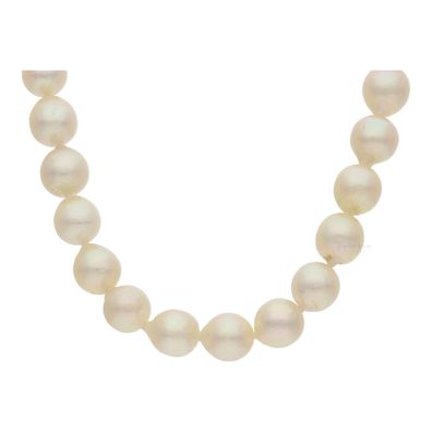 Perlenkette 585/000 (14 Karat) Weißgold mit Akoya Zuchtperle und Saphir, getragen 253