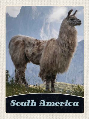 Blechschild 30x40 cm - Süd Amerika Lama Gebirge Wiese