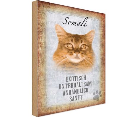 Holzschild 18x12 cm - Somali Katze Geschenk Wanddeko
