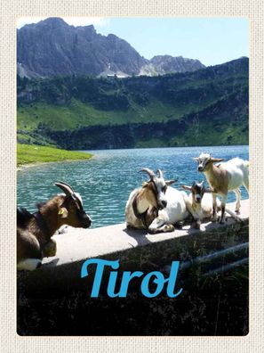 Blechschild 30x40 cm - Tirol Österreich Ziegen Wasser Natur