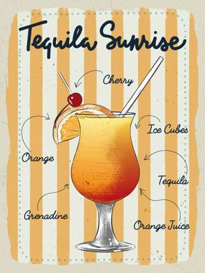 vianmo Blechschild 30x40 cm gewölbt Essen Trinken Tequila Sunrise Cherry Orange