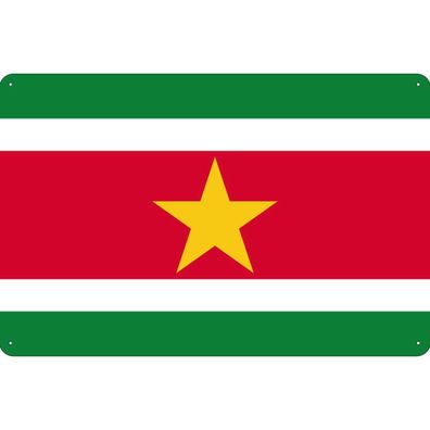 vianmo Blechschild Wandschild 30x40 cm Suriname Fahne Flagge