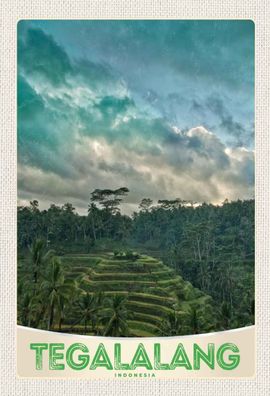 Holzschild 20x30 cm - Tegalalang Indonesien Asien Tropen