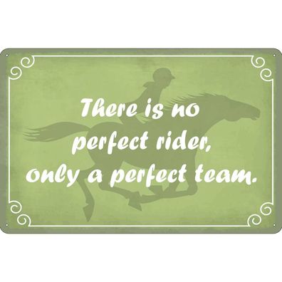 Blechschild 20x30 cm - there is no perfect rider only