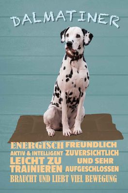 Blechschild Wandschild Metallschild 20x30 cm - Dalmatiner Hund energisch aktiv