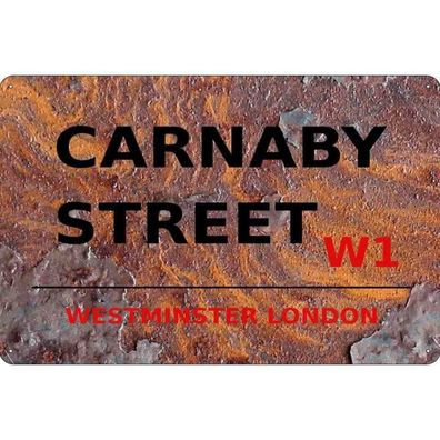 vianmo Blechschild 20x30 cm gewölbt England Westminster Carnaby Street W1