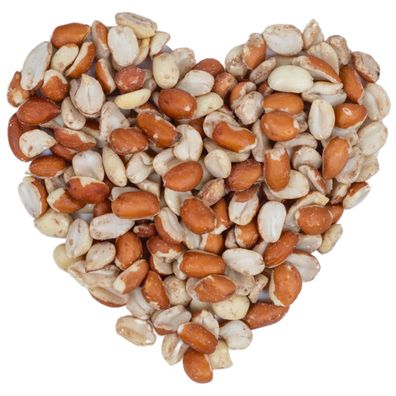 10 - 25 kg Lyra Pet® Erdnusskerne Splits gemischt blanchiert und mit Haut HK Argen...