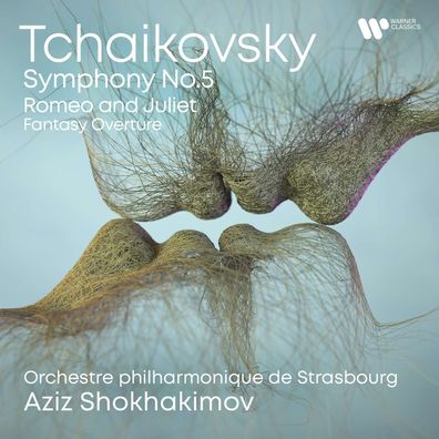 Peter Iljitsch Tschaikowsky (1840-1893): Symphonie Nr.5 - - (CD / S)