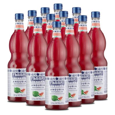 Food-United FABBRI Mixybar Watermelon Sirup 12x1L für Wassermelonen-Saft-Slush-Ice