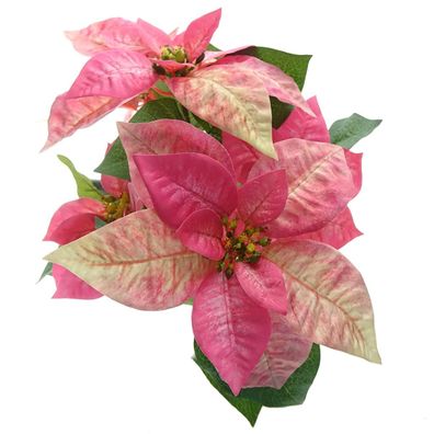 Weihnachtssternbusch Poinsettie Creme & Rosa 45 cm - Kunstblumen