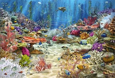 Korallenriff-Paradies
