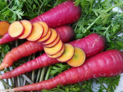Möhre Cosmic Purple Carrot - Karotten 25+ Samen 12-16cm langen Wurzeln R 005