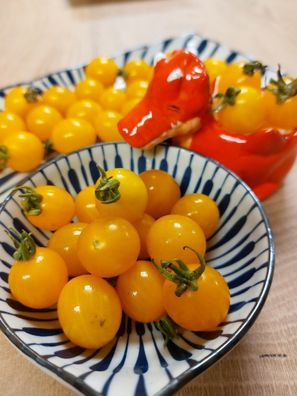 Tomate Clementine 40+ Samen Seeds - Samenfeste ertragreiche Kirschtomate P 510