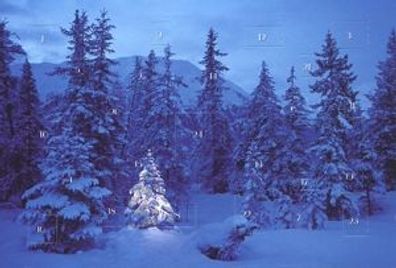 Postkarten Adventskalender Weihnachtsbäume