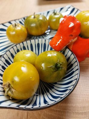 Kirschtomate - Soul Patch aus den USA Tomato 5+ Samen - Seeds P 529