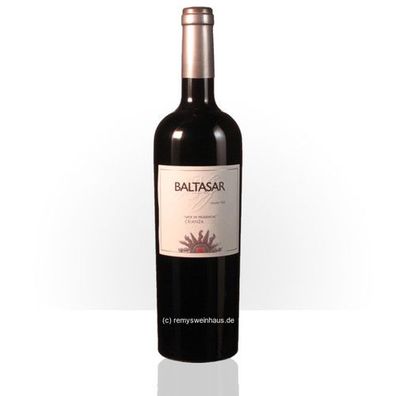 Bodegas San Alejandro 2015 Baltasar Arte de Prudencia Crianza DO 0.75 Liter