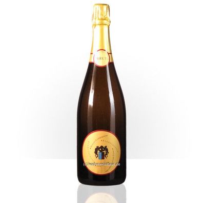 Monzio Compagnoni 2020 Franciacorta DOCG Brut Millesimato 0.75 Liter