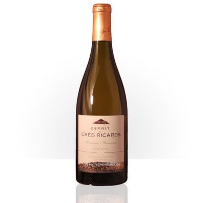 Domaines Paul Mas 2020 Esprit de Crès Ricards Pays d'Oc IGP 0.75 Liter