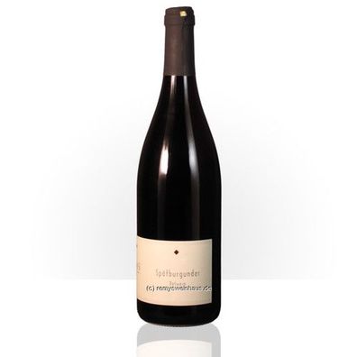 Weingut Willems 2018 Spätburgunder trocken Qualitätswein 0.75 Liter