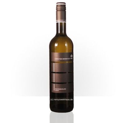 Weingut Christian Bamberger 2021 Sauvignon Blanc trocken (32) Deutscher Qualität