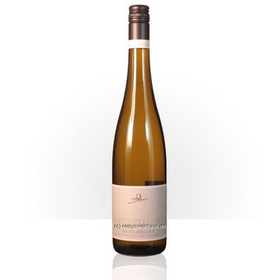 Weingut Diehl 2021 Muskateller Feinherb (075) 0.75 Liter