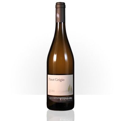 Kellerei Cantina Kurtatsch 2023 Pinot Grigio DOC 0.75 Liter