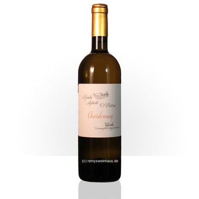 Zenato 2022 Chardonnay 'Santa Cristina' Garda DOC 0.75 Liter