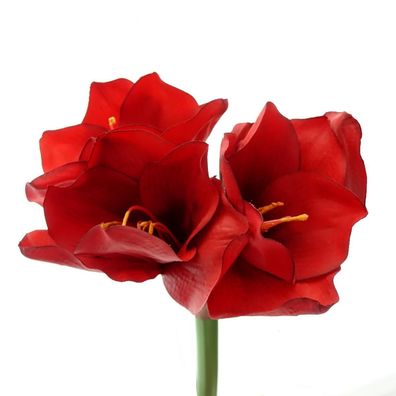 Prächtige Amaryllis Rot - Stiellänge 56 cm - Kunstblumen