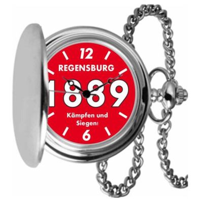 Regensburg Taschenuhr Uhr TA-21217