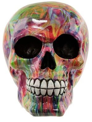 NEU Totenkopf in Regenbogenfarben Regenbogen Skelett Gothic Fantasy Skull