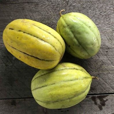 Honigmelone NAVAJO GOLD - Cucumis melo 5+ Samen trockentolerante Melon Cm 034