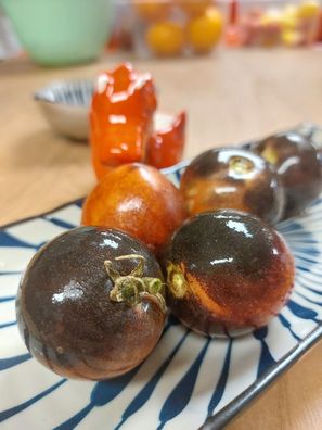 Kompakte Kirschtomate - Mocha´s Cherry Dwarf Tomato 5+ Samen - Seeds P 540
