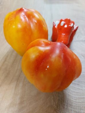 Tomate Kalifornische Tulpe - Tulip tomato 5+ Samen - Seeds Samenfeste P 532