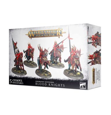 Warhammer Age of Sigmar Soulblight Gravelords: Blood Knights 91-41