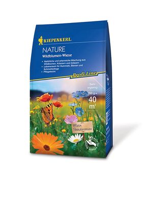 Kiepenkerl® Wildblumen-Wiese 250 g für 40 m²