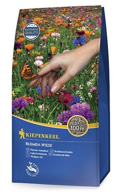 Kiepenkerl® Blumen-Wiese 1 kg für 100 m²