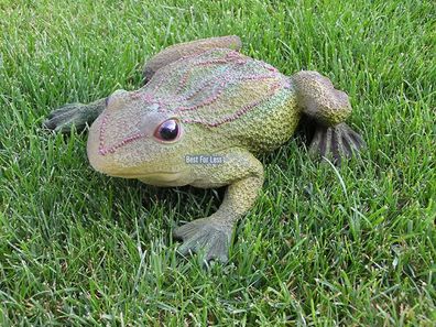 Frosch Kröte Laubfrosch lebensecht Figur Statue Skulptur Deko Gartenteich Tier grün g