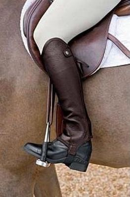 Ariat Chap Concord chocolate