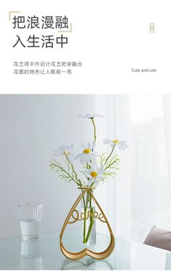 Hydrokultur-Vasen Ornamente, kénstliche Blumenarrangements