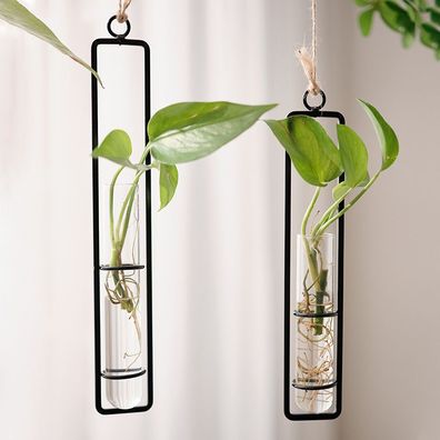 Dekorative Hydrokultur, transparente Glasvasen, hängende Térbehänge