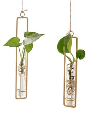 Dekorative Hydrokultur, transparente Glasvasen, hängende Térbehänge