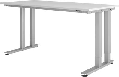 bümö Schwerlast-Tisch elektrisch verstellbar bis 350 kg, Tischplatte 180 x 80 cm in g
